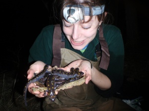 Jenny with spotted salamanders