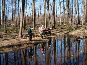 Environmental scientists gathering data from the edge of the restored, created wetland.